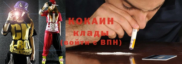 прущие грибы Арсеньев