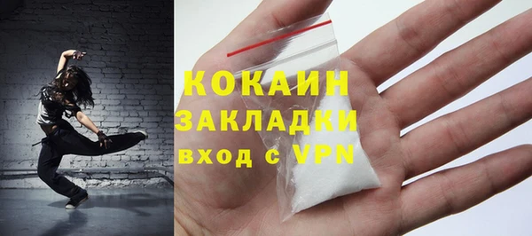прущие грибы Арсеньев