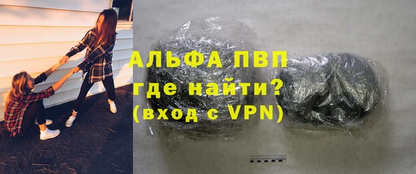 индика Пересвет