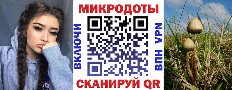 Галлюциногенные грибы Cubensis Никольск